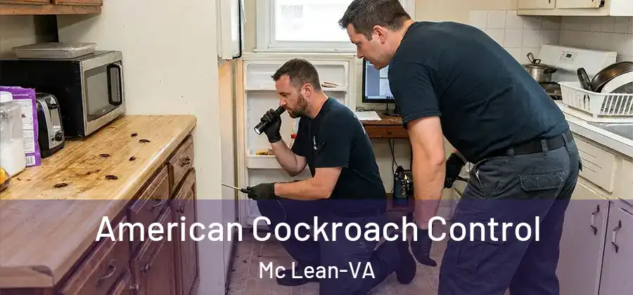 American Cockroach Control Mc Lean-VA