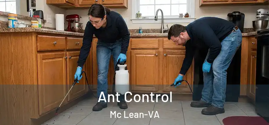  Ant Control Mc Lean-VA