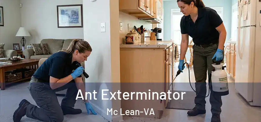 Ant Exterminator Mc Lean-VA