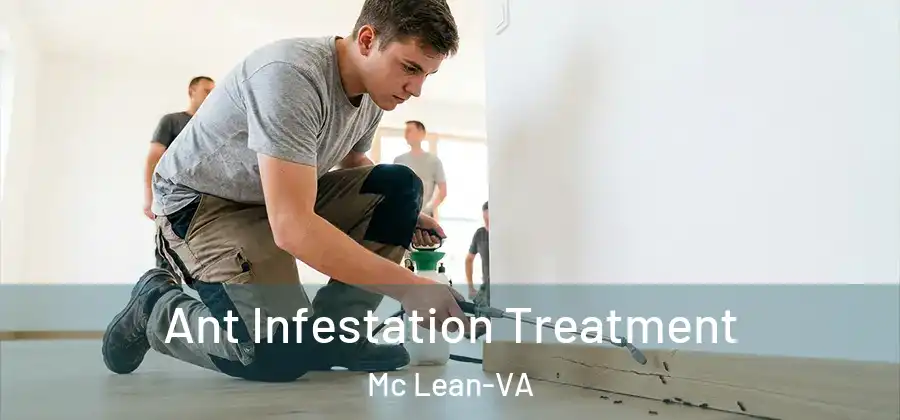 Ant Infestation Treatment Mc Lean-VA