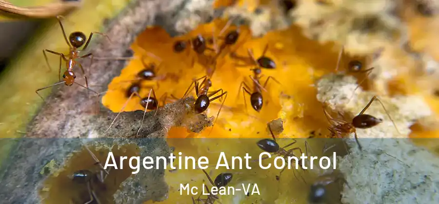  Argentine Ant Control Mc Lean-VA