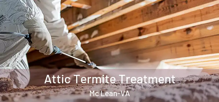 Attic Termite Treatment Mc Lean-VA