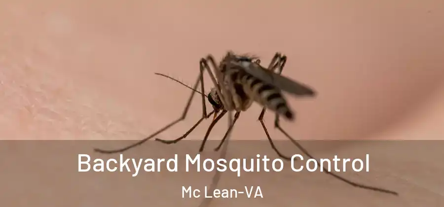Backyard Mosquito Control Mc Lean-VA