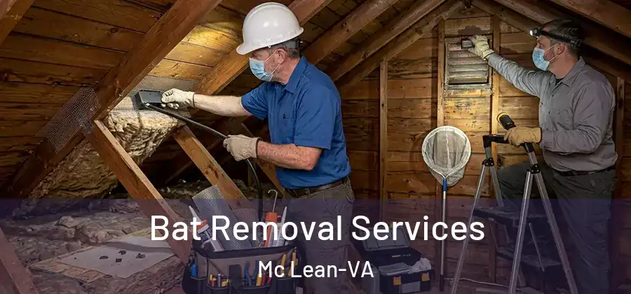Bat Removal Services Mc Lean-VA