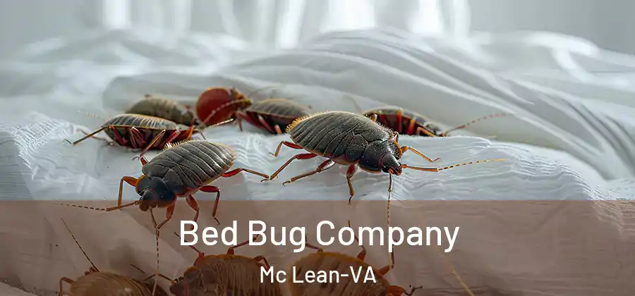 Bed Bug Company Mc Lean-VA