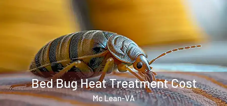 Bed Bug Heat Treatment Cost Mc Lean-VA