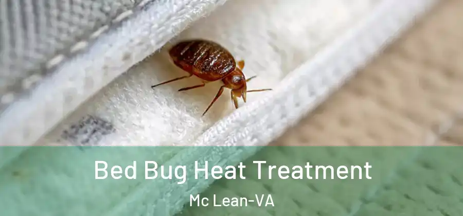  Bed Bug Heat Treatment Mc Lean-VA