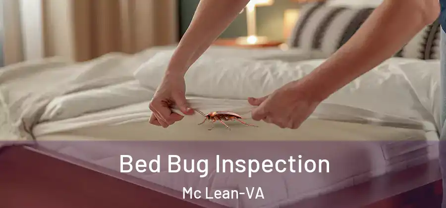 Bed Bug Inspection Mc Lean-VA