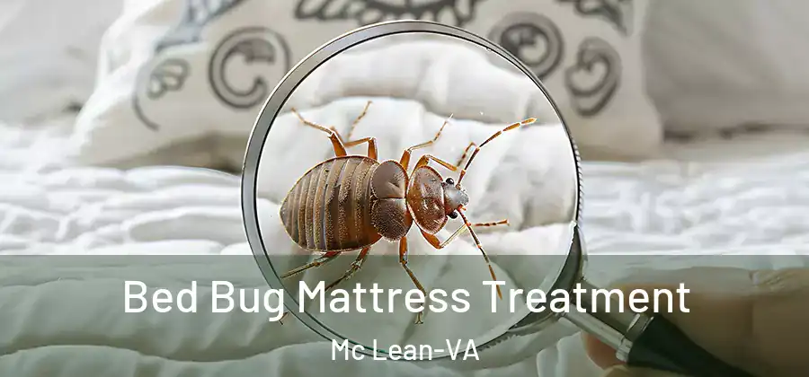 Bed Bug Mattress Treatment Mc Lean-VA