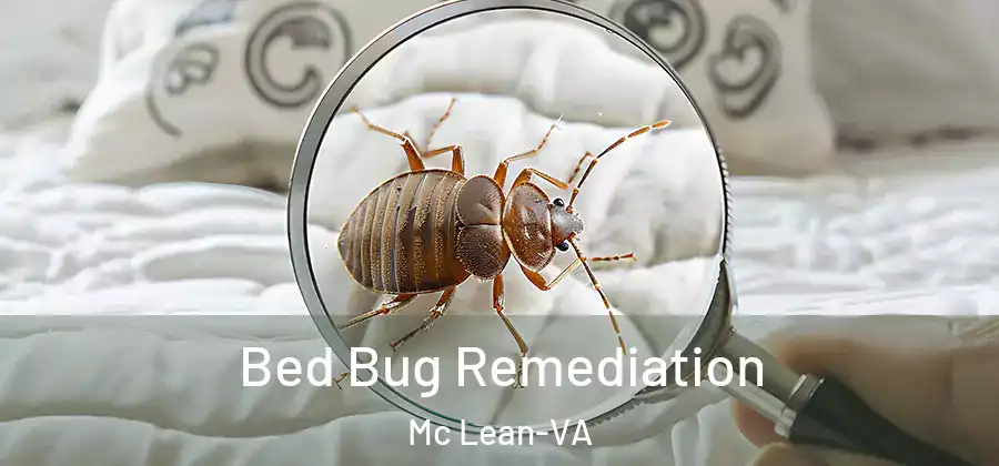 Bed Bug Remediation Mc Lean-VA