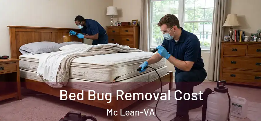 Bed Bug Removal Cost Mc Lean-VA