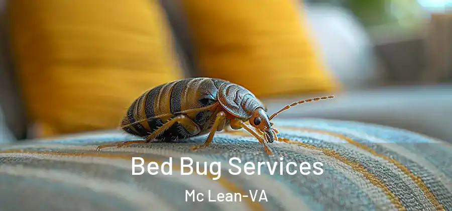 Bed Bug Services Mc Lean-VA