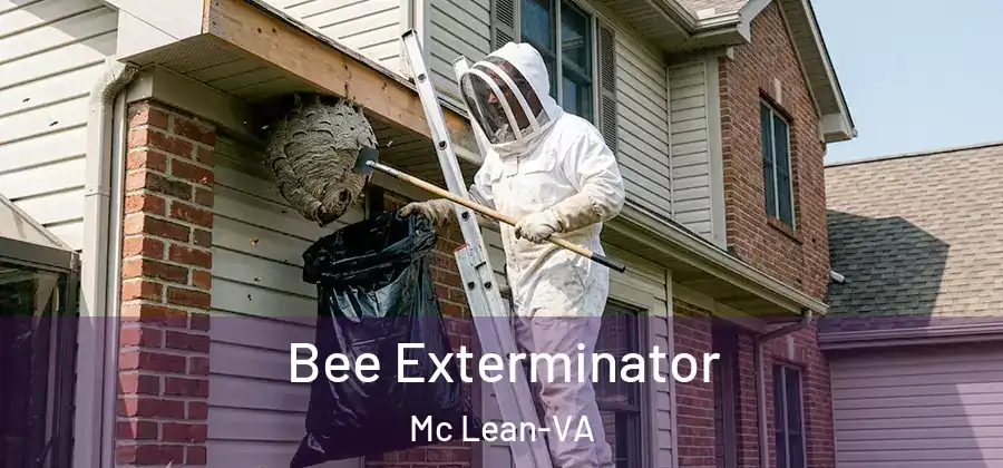  Bee Exterminator Mc Lean-VA