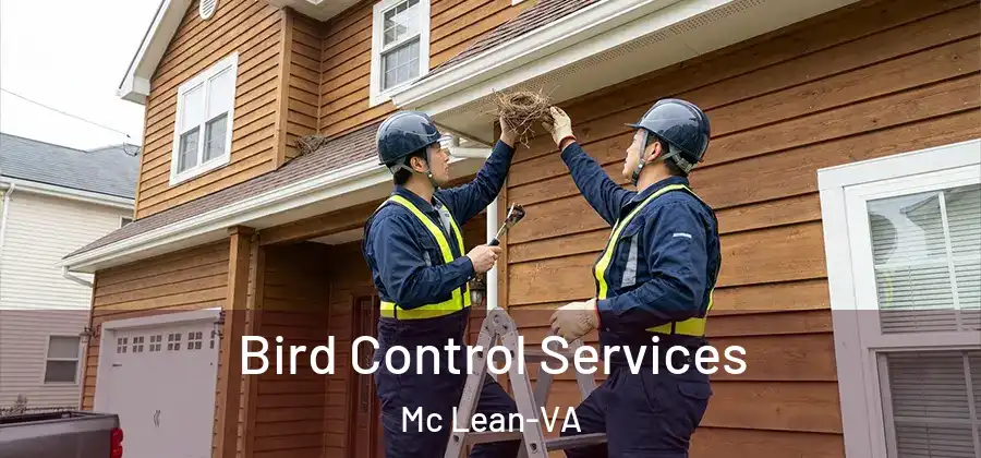 Bird Control Services Mc Lean-VA