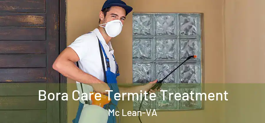 Bora Care Termite Treatment Mc Lean-VA