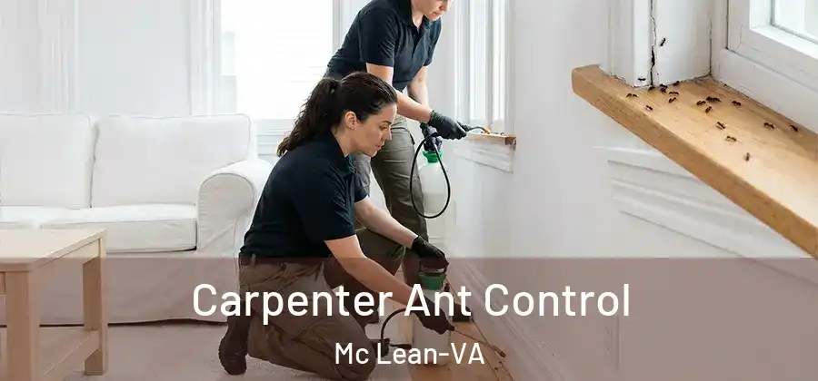Carpenter Ant Control Mc Lean-VA