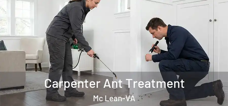 Carpenter Ant Treatment Mc Lean-VA
