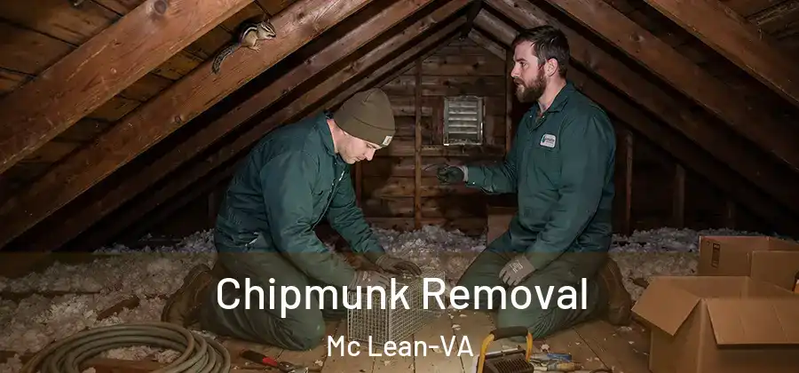 Chipmunk Removal Mc Lean-VA