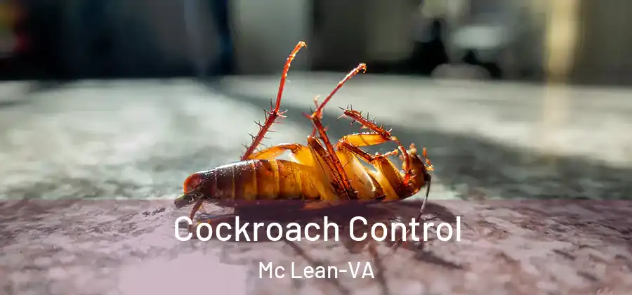 Cockroach Control Mc Lean-VA