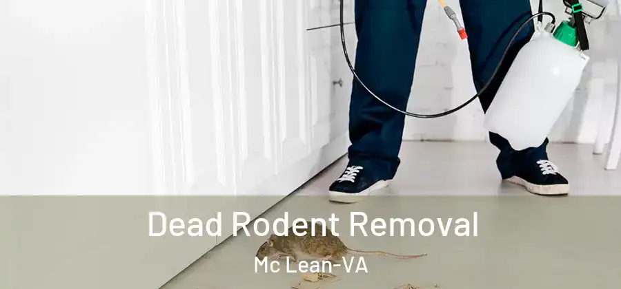Dead Rodent Removal Mc Lean-VA