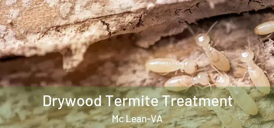  Drywood Termite Treatment Mc Lean-VA