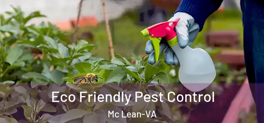  Eco Friendly Pest Control Mc Lean-VA