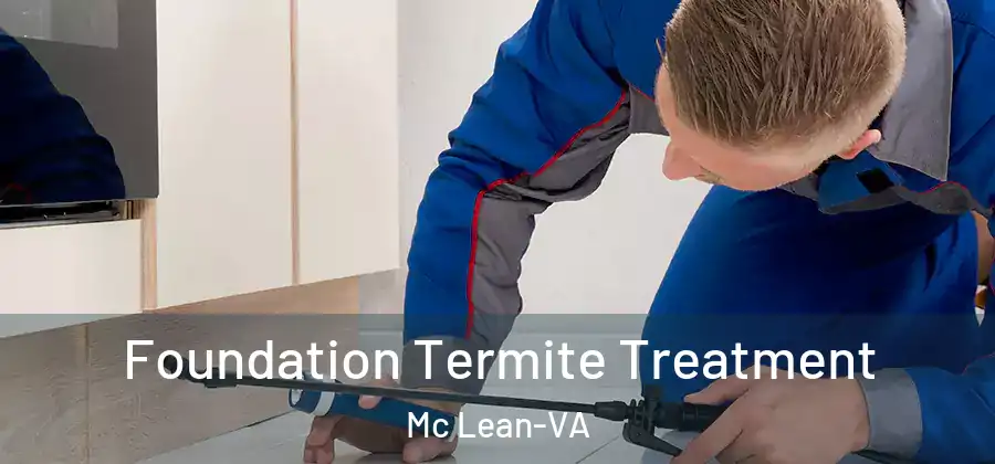 Foundation Termite Treatment Mc Lean-VA
