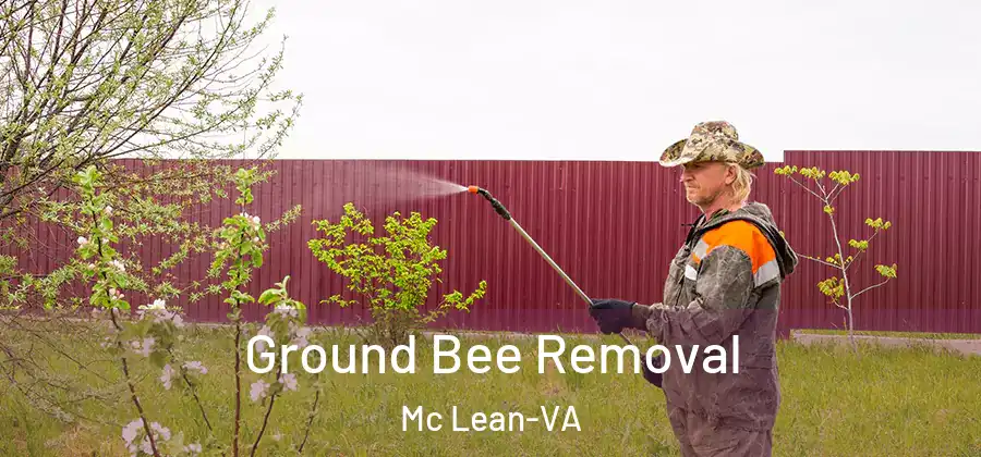 Ground Bee Removal Mc Lean-VA