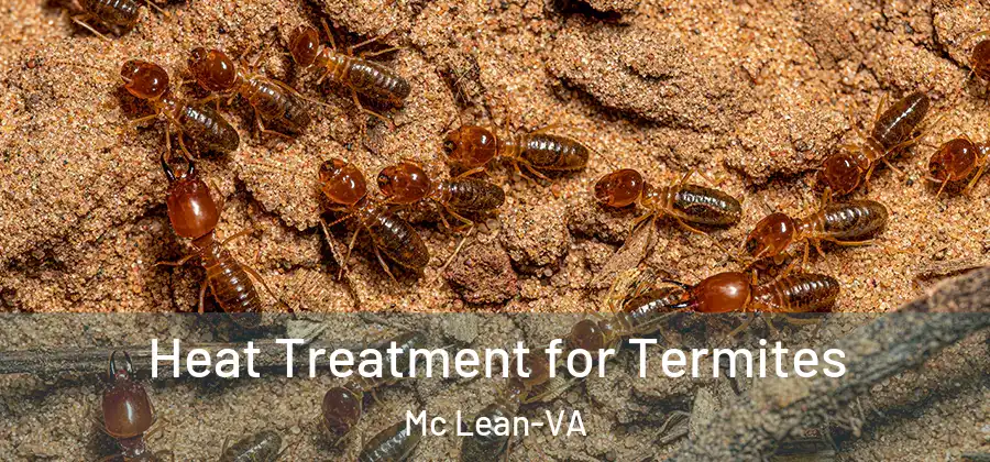  Heat Treatment for Termites Mc Lean-VA