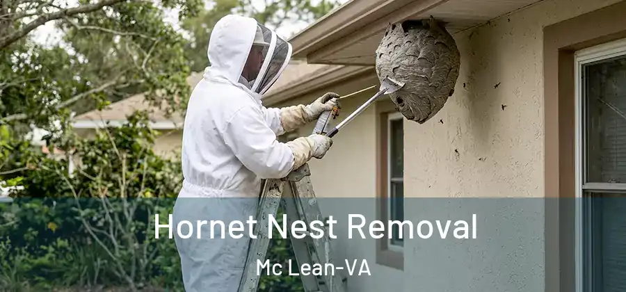 Hornet Nest Removal Mc Lean-VA