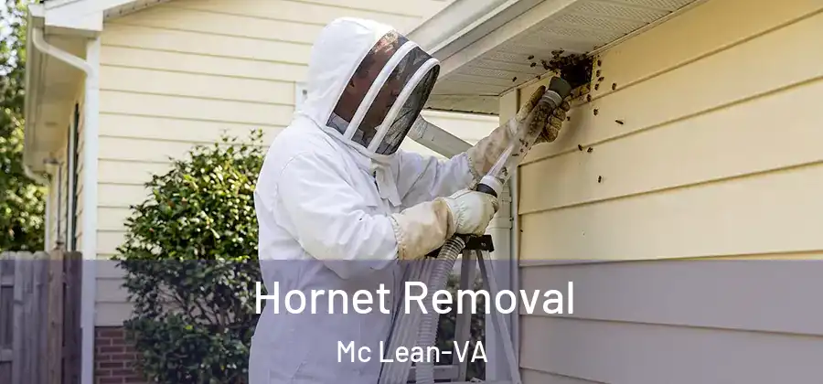Hornet Removal Mc Lean-VA