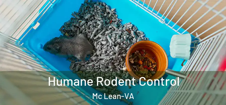 Humane Rodent Control Mc Lean-VA