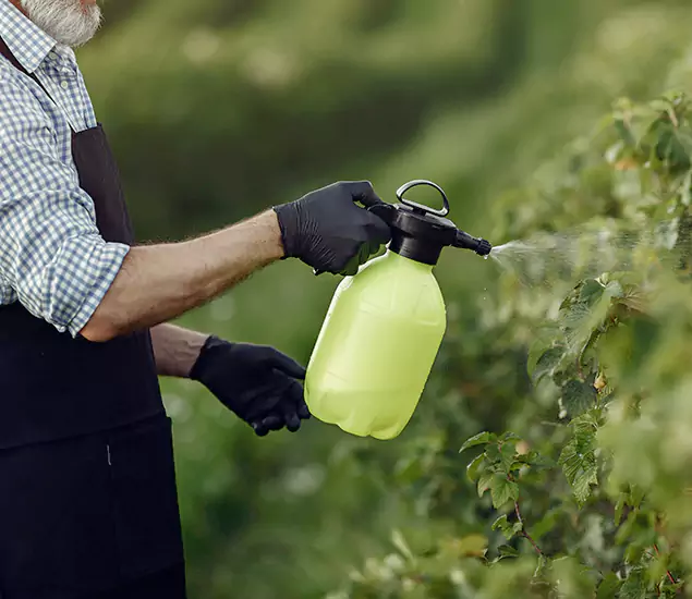 Your Proven Mosquito Treatment Company in Mc Lean, VA