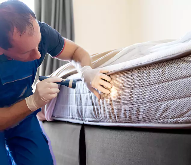 Trusted Bed Bug Cost Experts in Mc Lean, VA
