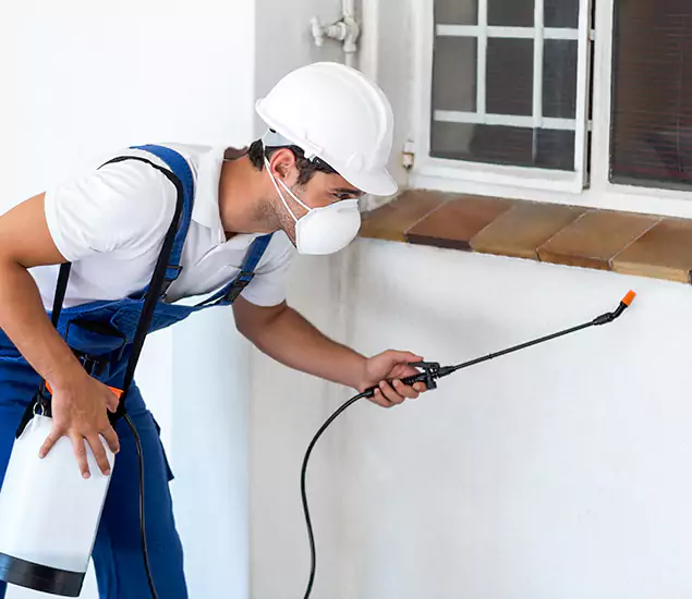 Your Professional Cockroach Exterminator in Mc Lean, VA
