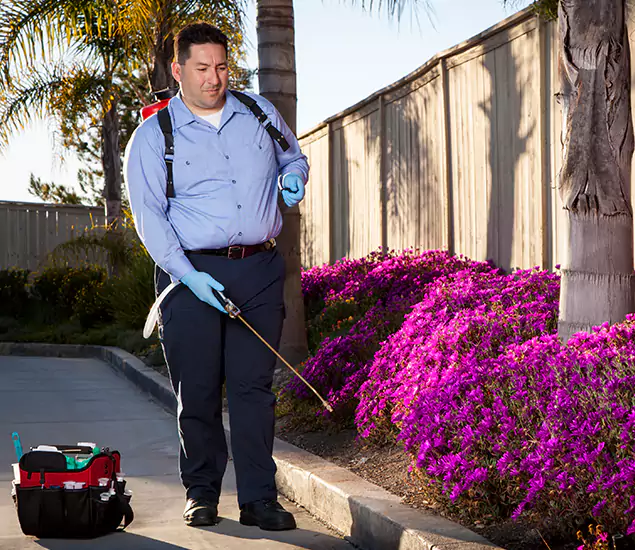 About Our Eco Safe Pest Control Experts in Mc Lean, VA