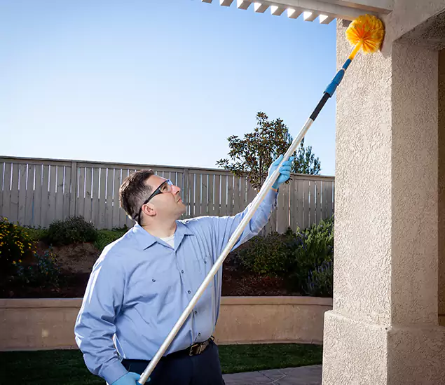 Trusted Experts in Mc Lean VA for Formosan Termite Treatment and Black Termite Control