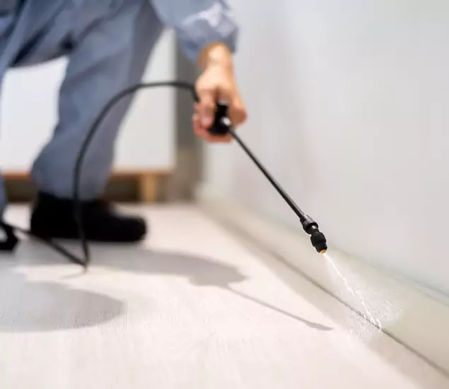 About Our Liquid Termite Treatment Experts in Mc Lean, VA