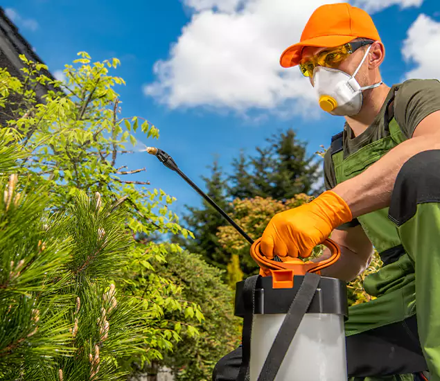 Your Mosquito Repellent Barrier Service in Mc Lean, VA