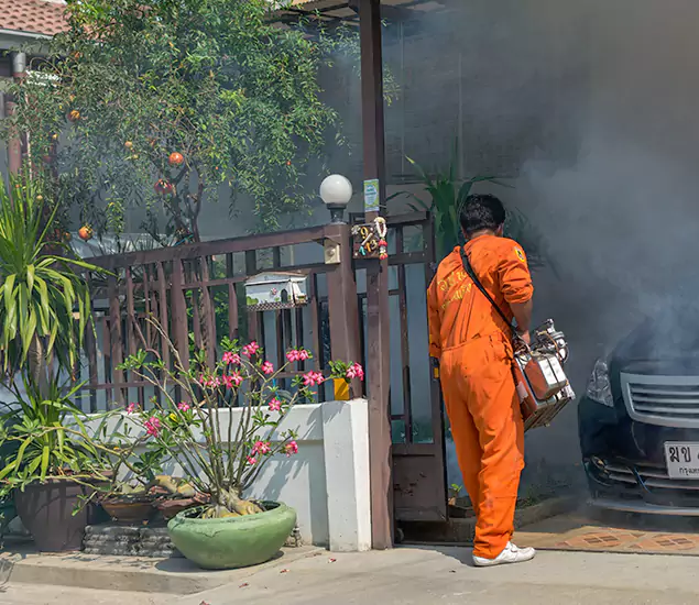Your Proven Mosquito Fogging Company in Mc Lean, VA