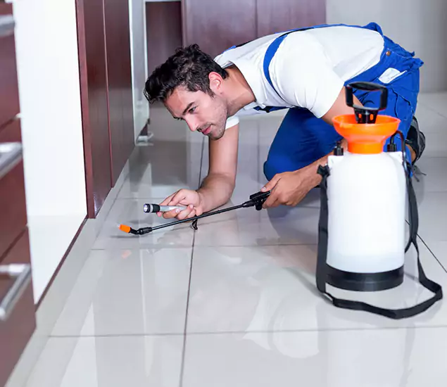 Reliable Professional Mouse Removal: Your Best Mouse Control Company in Mc Lean, VA
