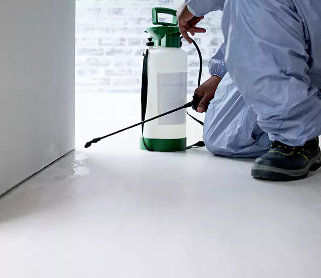 Affordable Pest Control Experts in Mc Lean, VA