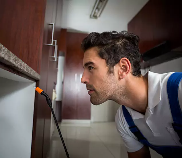 Expert Rodent in Attic Removal: Your Proven Pest Specialists in Mc Lean, VA