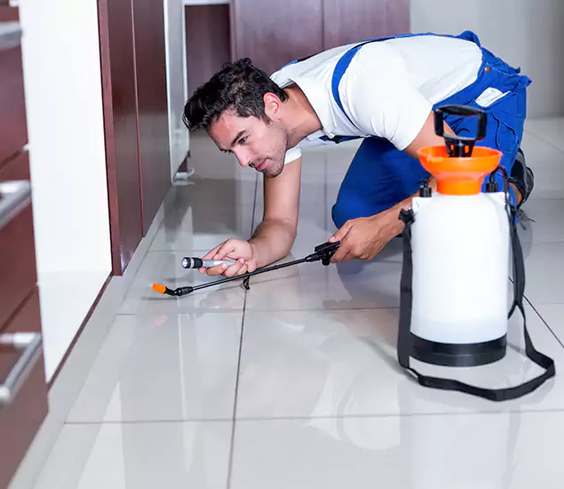 Advanced Slab Termite Treatment Experts You Can Trust&nbsp;in Mc Lean, VA