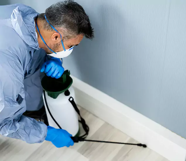 Reliable Termite Cost Experts in Mc Lean, VA