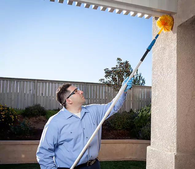 Your Trusted Wasp Removal Company in Mc Lean, VA