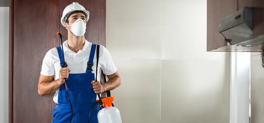 Per Room Bed Bug Cost in Mc Lean
