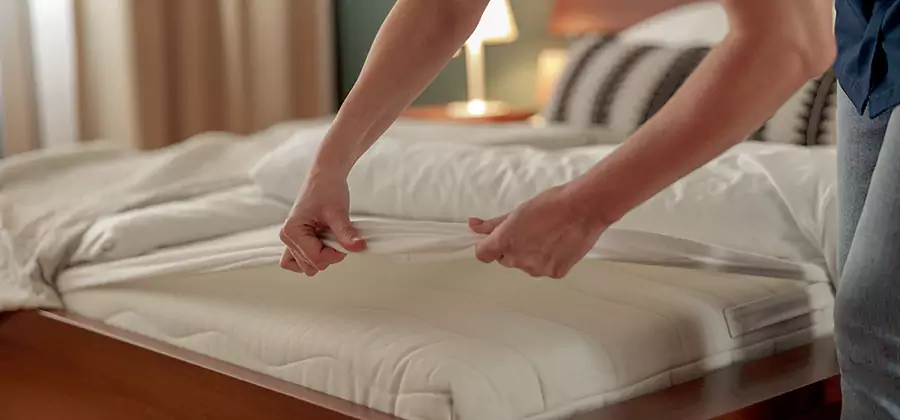 Bed Bug Extermination Services in Mc Lean