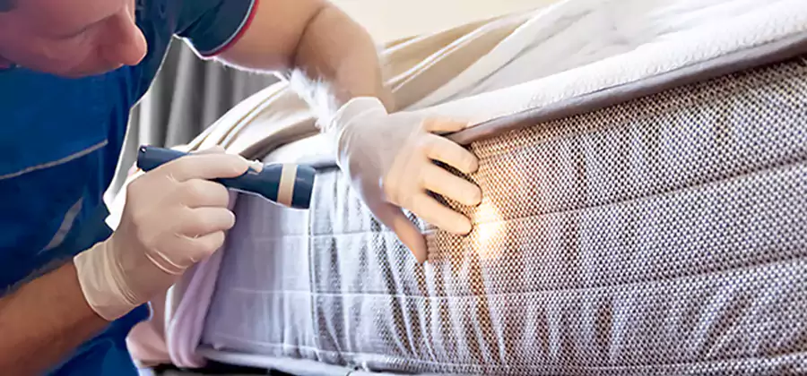Residential Bed Bug Treatment Cost in Mc Lean