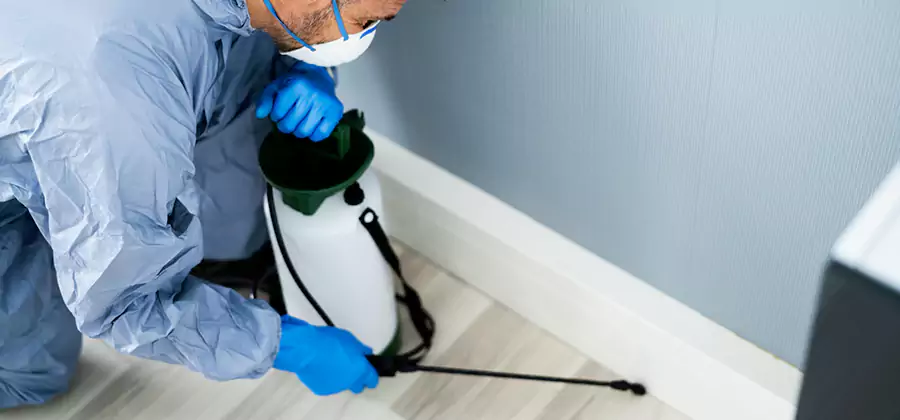 Fumigate Apartment Roaches in Mc Lean